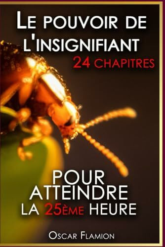 Le pouvoir de l'insignifiant: 24 chapitres - Pour atteindre la 25ème heure