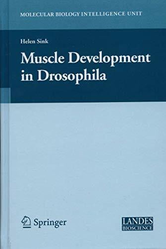 Muscle Development in Drosophilia (Molecular Biology Intelligence Unit)