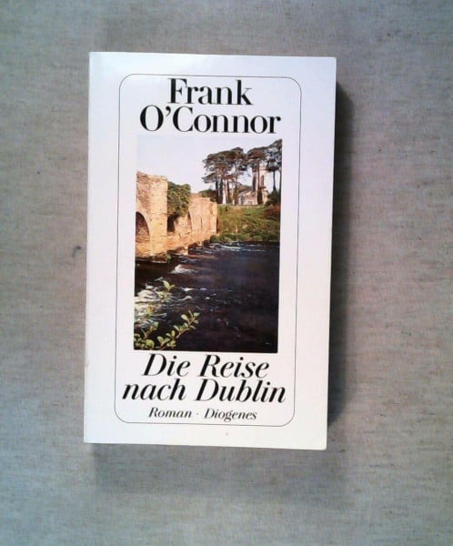 Die Reise nach Dublin: Roman