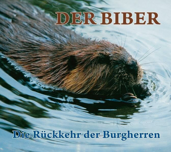 Der Biber: Die Rückkehr der Burgherren