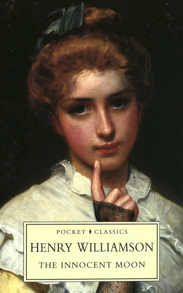 The Innocent Moon (The Pocket Classics Series)
