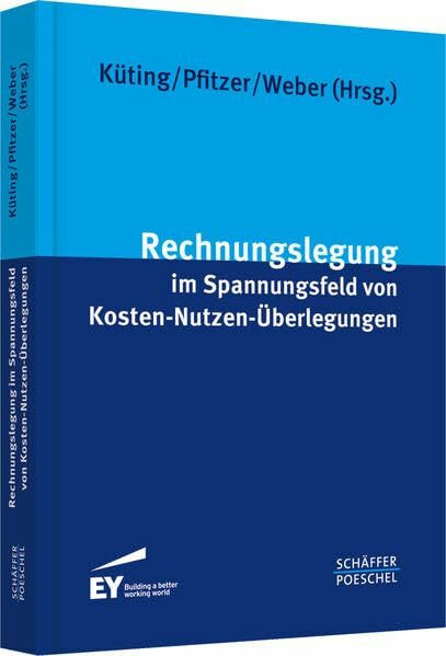 Rechnungslegung im Spannungsfeld von Kosten-Nutzen-Überlegungen