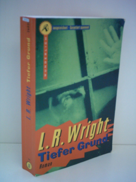 Tiefer Grund: Roman (Wunderlich Taschenbuch)