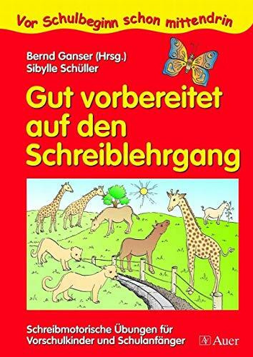 Gut vorbereitet auf den Schreiblehrgang: Schreibmotorische Übungen für Vorschulkinder und Schulanfänger (1. Klasse/Vorschule) (Vor Schulbeginn)