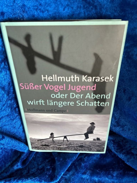 Süßer Vogel Jugend: oder Der Abend wirft längere Schatten
