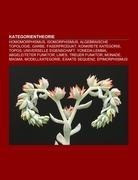 Kategorientheorie