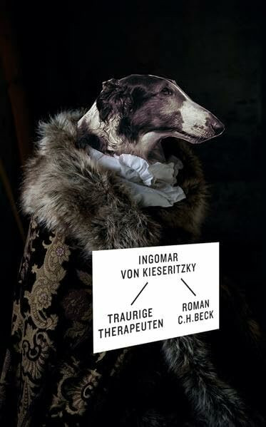 Traurige Therapeuten: Roman