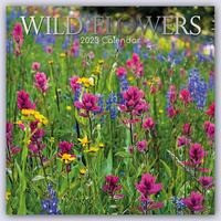 Wild Flowers - Wildblumen 2023 - 16-Monatskalender