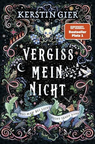 Vergissmeinnicht - Was man bei Licht nicht sehen kann: Das fantastische Geschenk zu Weihnachten