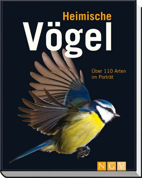 Heimische Vögel: Über 110 Arten im Porträt