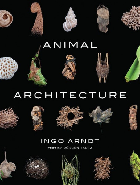 Animal Architecture