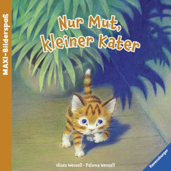 Nur Mut, kleiner Kater (Maxi-Bilderspaß)