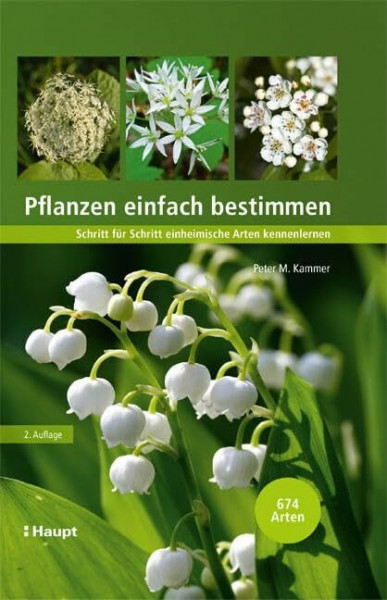 Pflanzen einfach bestimmen: Schritt für Schritt einheimische Arten kennenlernen