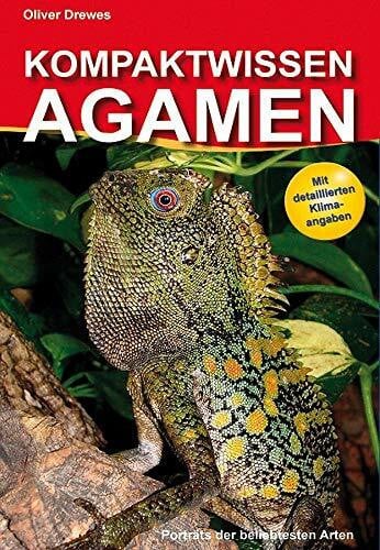 Kompaktwissen Agamen: Porträts der beliebtesten Arten. Mit detaillierten Klimaangaben
