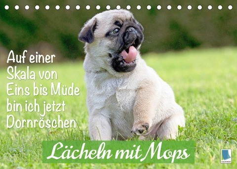 Der Mops: Nicht klein, sondern aufs Wesentliche reduziert. Edition lustige Tiere (Tischkalender 2022 DIN A5 quer)