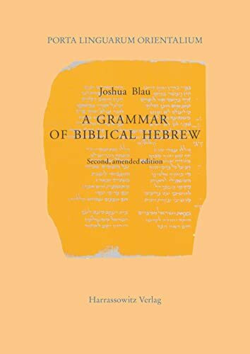 A Grammar of Biblical Hebrew (Porta Linguarum Orientalium / Neue Serie, Band 12)