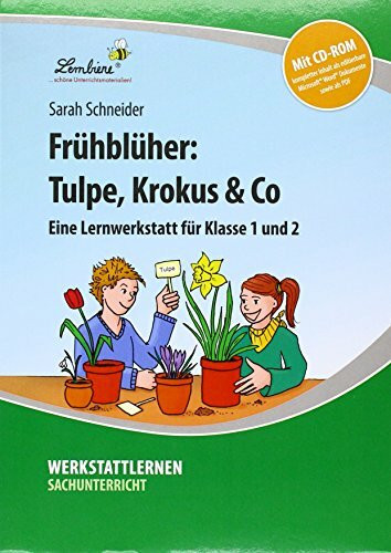 Frühblüher: Tulpe, Krokus & Co: (1. und 2. Klasse)
