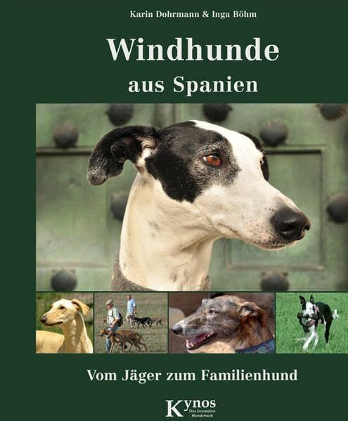 Windhunde aus Spanien: Vom Jäger zum Familienhund (Das besondere Hundebuch)