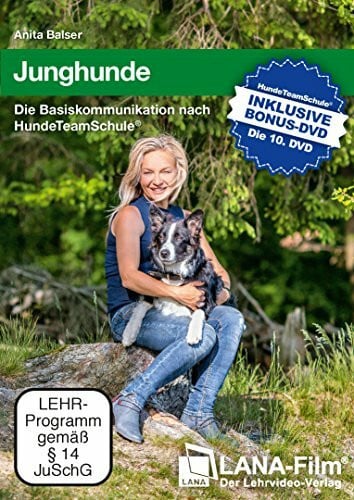 Junghunde: Die Basiskommunikation nach HundeTeamSchule®