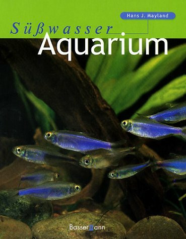 Süsswasser-Aquarium