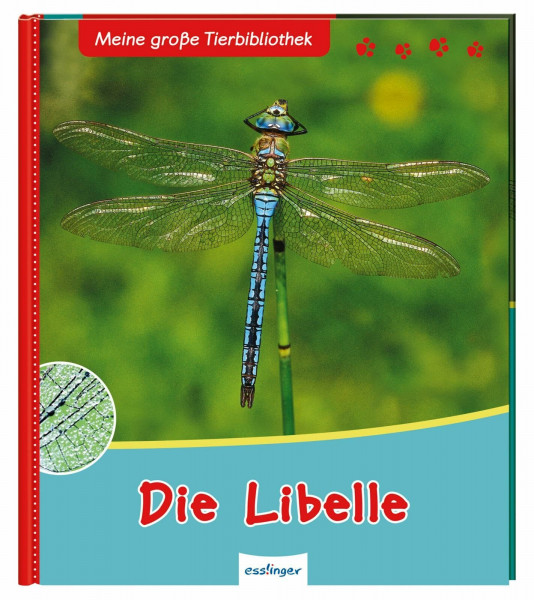 Meine große Tierbibliothek: Die Libelle: Sachbuch für Vorschule & Grundschule
