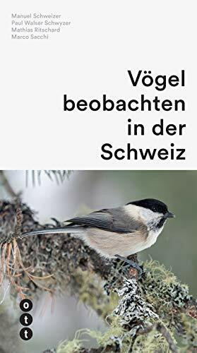 Vögel beobachten in der Schweiz