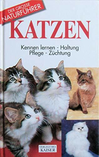 Katzen: Kennen lernen, Haltung, Pflege, Züchtung (Grosse Naturführer)
