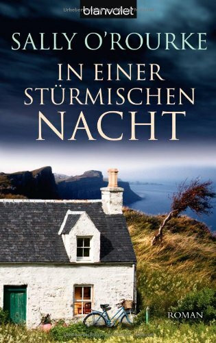In einer stürmischen Nacht: Roman: Roman. Deutsche Erstausgabe