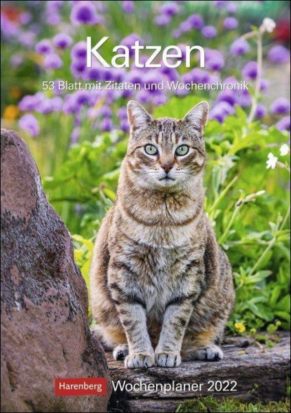 Katzen 2022 Wochenplaner