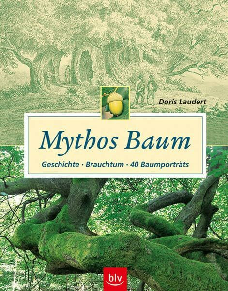 Mythos Baum: Geschichte - Brauchtum - 40 Baumporträts