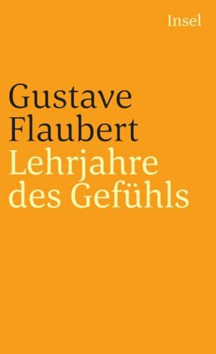Lehrjahre des Gefühls: Geschichte eines jungen Mannes. Roman (insel taschenbuch)