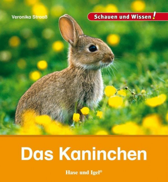 Das Kaninchen