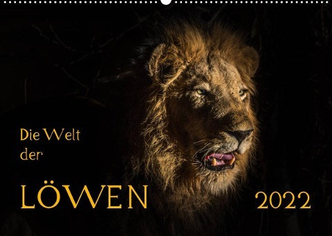Die Welt der Löwen (Wandkalender 2022 DIN A2 quer)