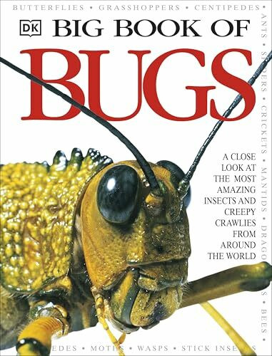 Big Book of Bugs (DK Big Books)