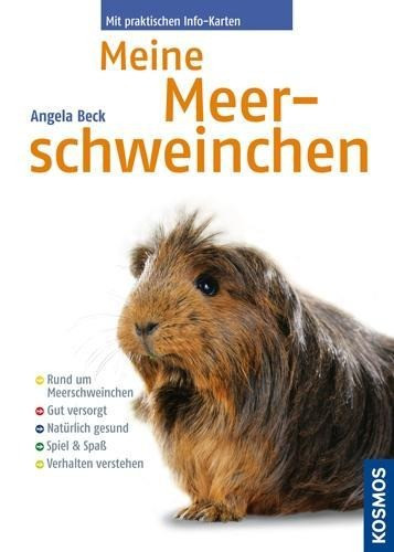 Meine Meerschweinchen