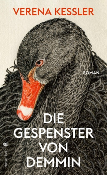 Die Gespenster von Demmin