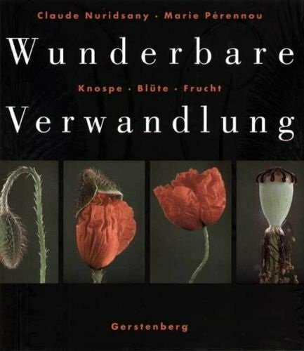 Wunderbare Verwandlung