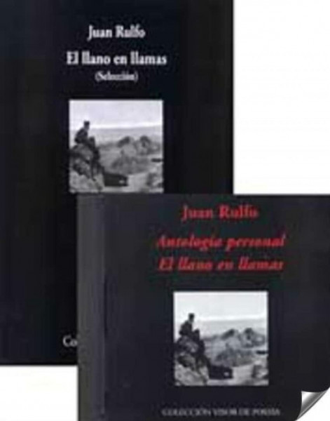 El llano en llamas : selección (Visor de Poesía, Band 469)