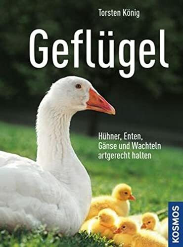 Geflügel: Hühner, Enten, Gänse und Wachteln artgerecht halten