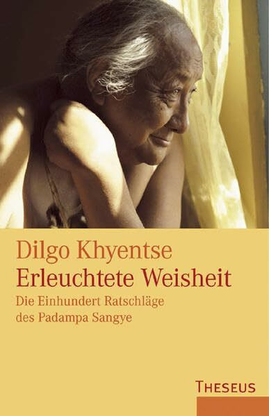 Erleuchtete Weisheit: Die Einhundert Ratschläge des Padampa Sangye