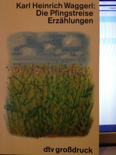 Die Pfingstreise: Erzählungen. Großdruck
