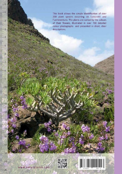 Discovering Plants Lanzarote and Fuerteventura