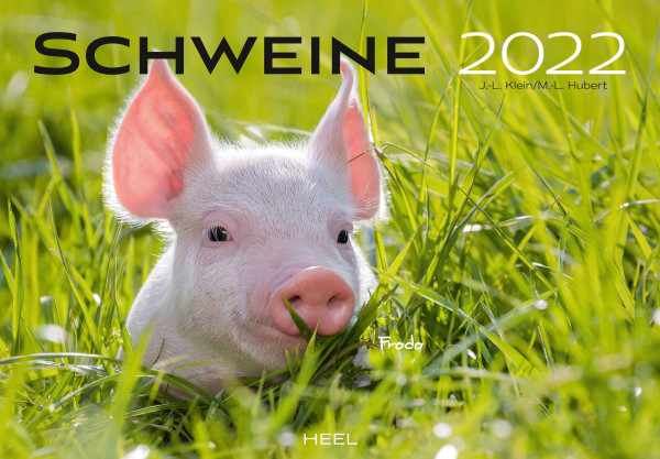 Schweine 2022