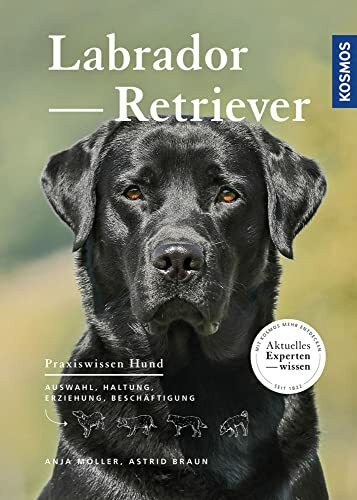 Labrador Retriever: Auswahl, Haltung, Erziehung, Beschäftigung (Praxiswissen Hund)