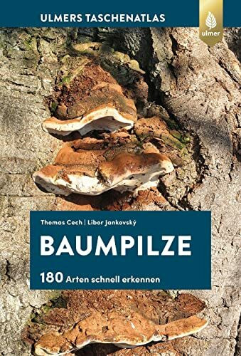 Baumpilze: 180 Arten schnell erkennen