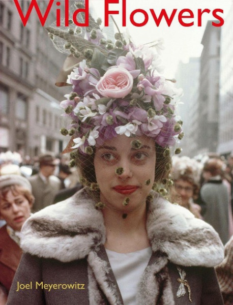 Joel Meyerowitz: Wild Flowers