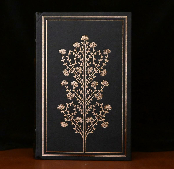 The age of innocence / Edith Wharton ; illustrated by Karla Schwarz