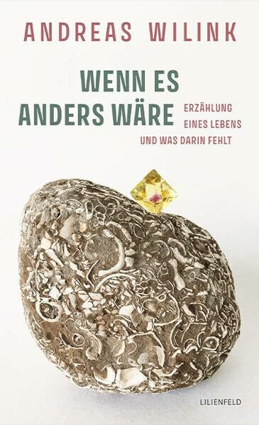 WENN ES ANDERS WÄRE: Erzählung eines Lebens und was darin fehlt