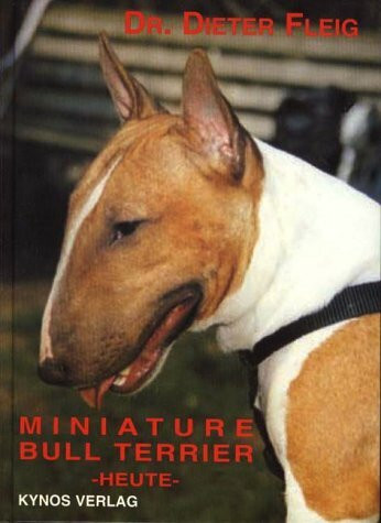 Miniature Bull Terrier - heute