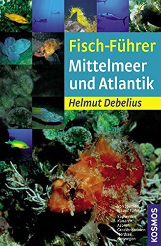 Fisch-Führer Mittelmeer und Atlantik